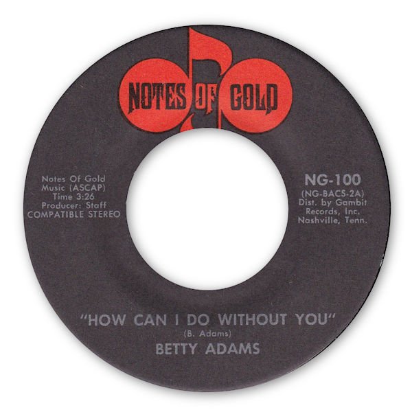 HOW CAN I MAKE IT WITHOUT YOU - NG-100